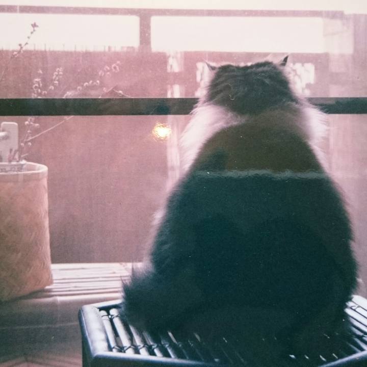 47f7b154 81d4 44a4 8b9b 1b2c3cc2698e