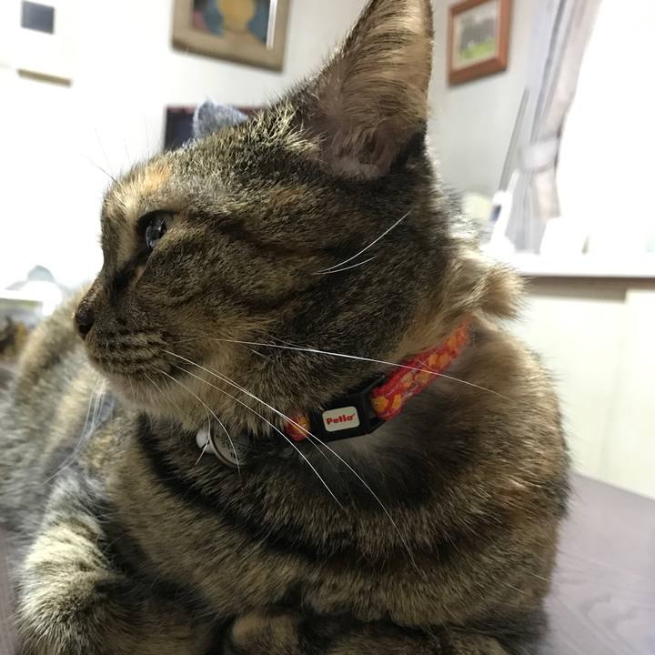 47f7b7e3 714d 422a 83fe 81e39c4a4684