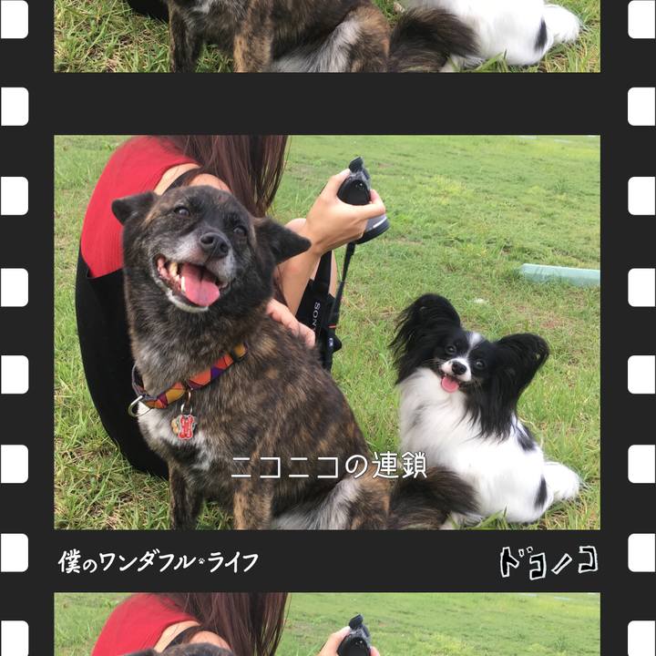 47f87817 73c8 4fa6 bb1d 27dd05df82de