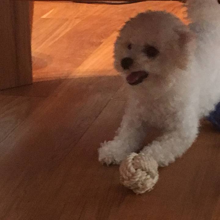 47f8c70a 0c84 4eb3 9de7 a17cbfb5b13d