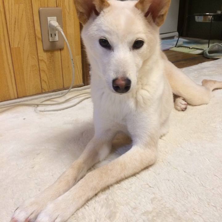 47f8d00b ceb5 4cd9 bd1c a13d14e205dd