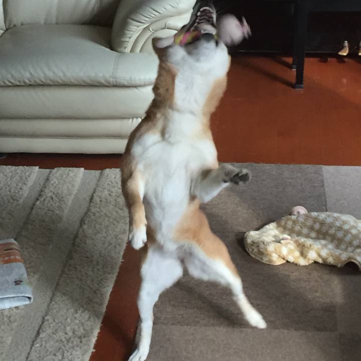 47f8d344 8ce9 4872 99a7 a20ee819aee0