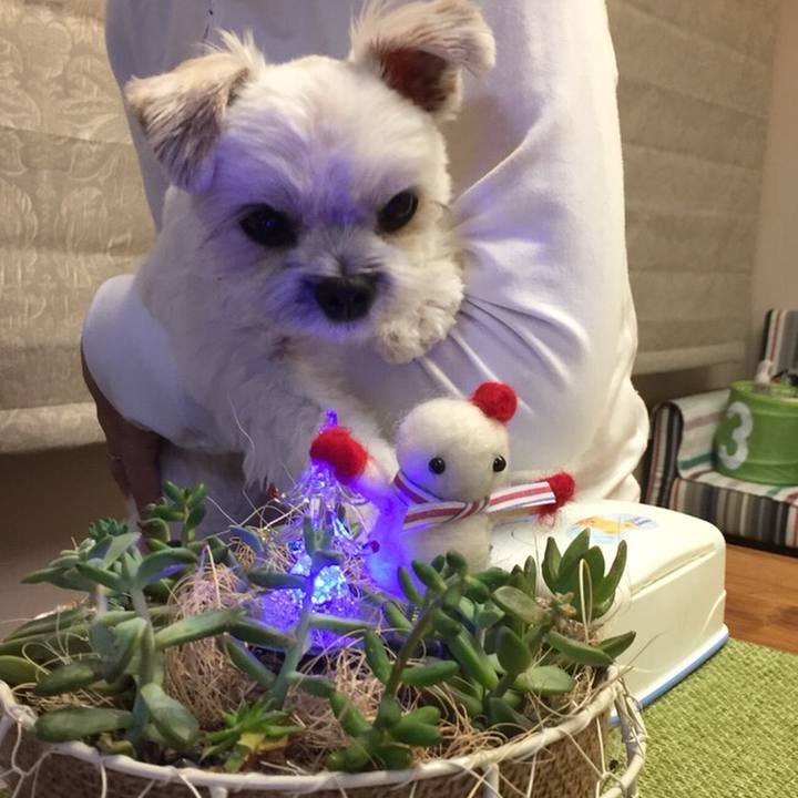 47f8ddd0 88f5 40dc 88c6 41f191698ab7