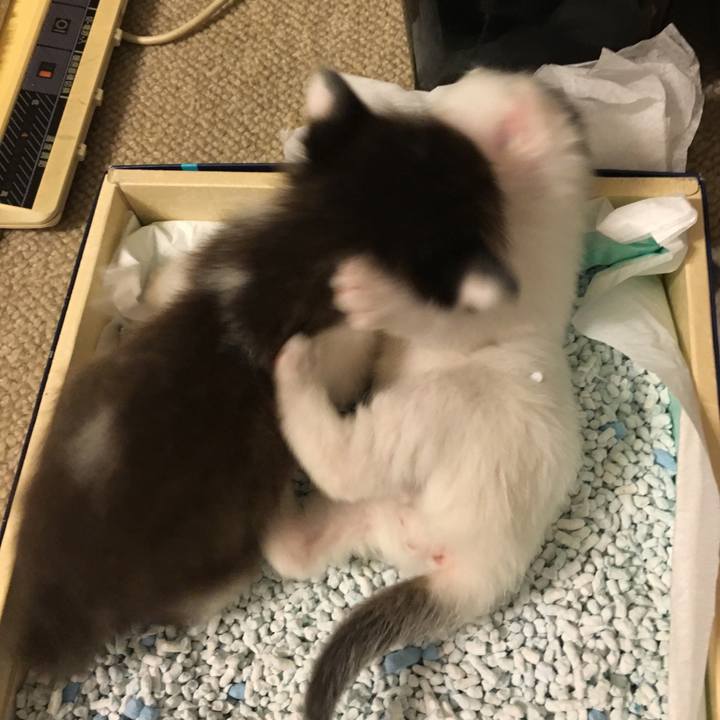 47f9e185 55e2 42e4 bbb5 c16d5b1b06b6