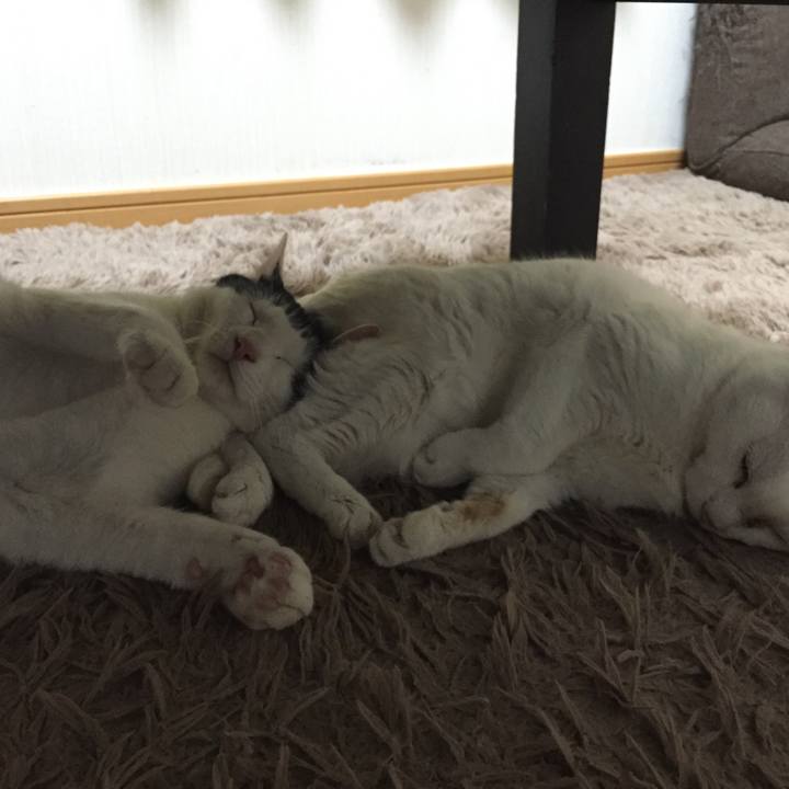 47fb0a46 aef3 485d 9163 05917238f8a4