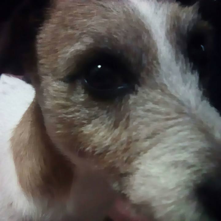 47fb51eb 6f0d 42f8 9550 cfc5ed252d62