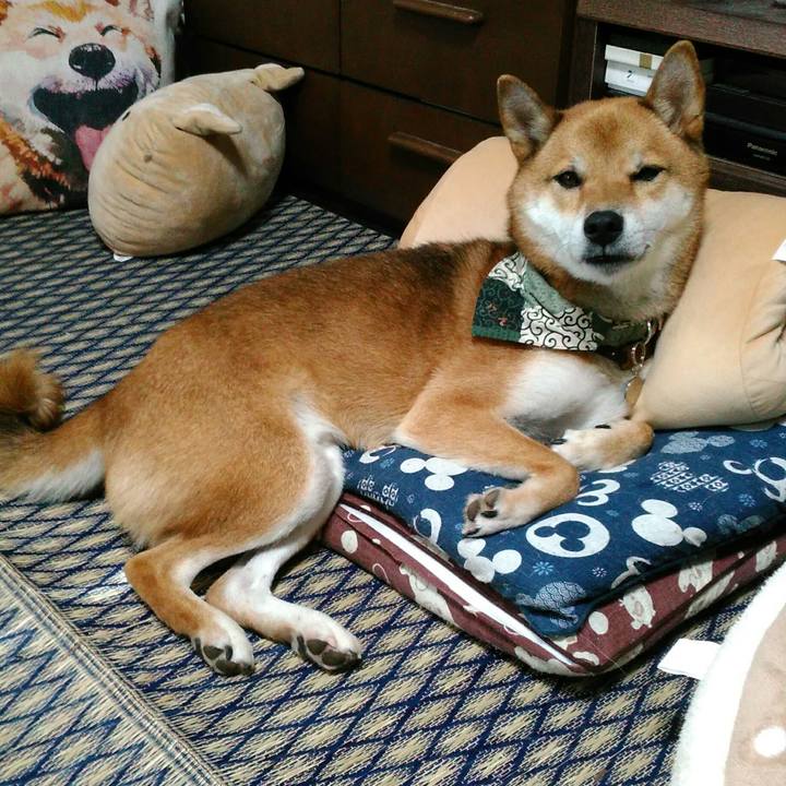 47fb60f0 e223 48da a80a 1ad3639a8983