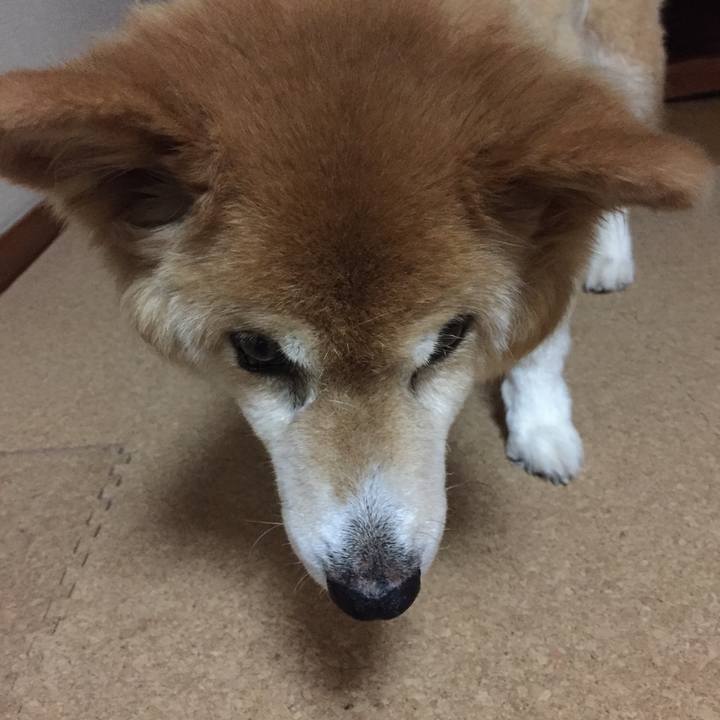 47fb7c6c faa9 41b4 b364 d360cee77065