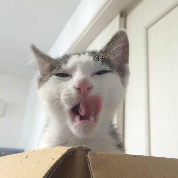 47fc3e02 47c2 4930 8e27 42f468080e25