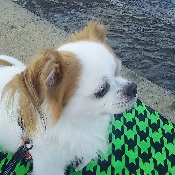 47fca13d 8080 4a31 ad39 373ce3c1dd56