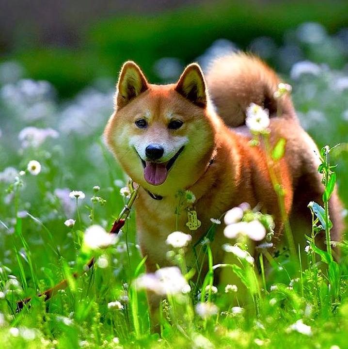 47fd9817 bd1d 4a08 ba32 1e52039bc65e