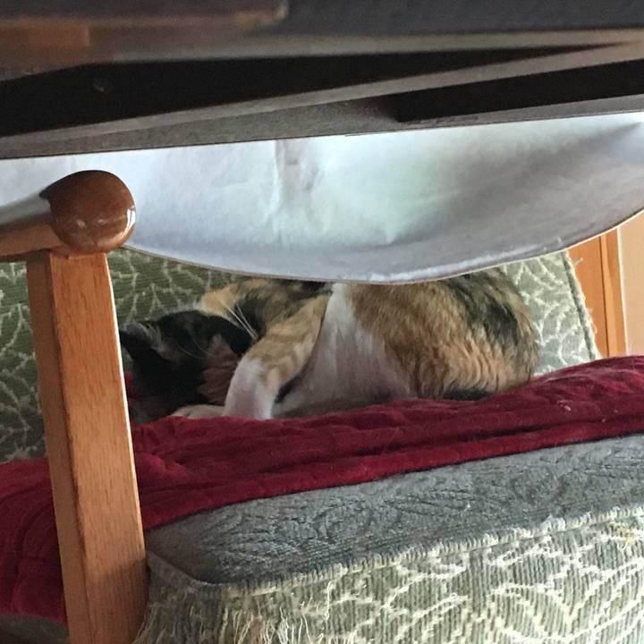 47fdc05c 5e79 45da 9f97 50d18ef9f74d