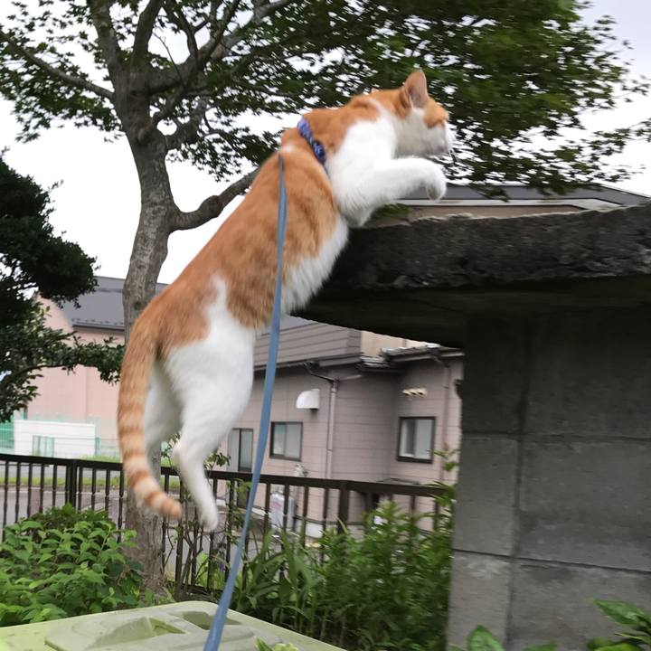 47fe5f5c 6196 4229 b04d 32b0a8faf919