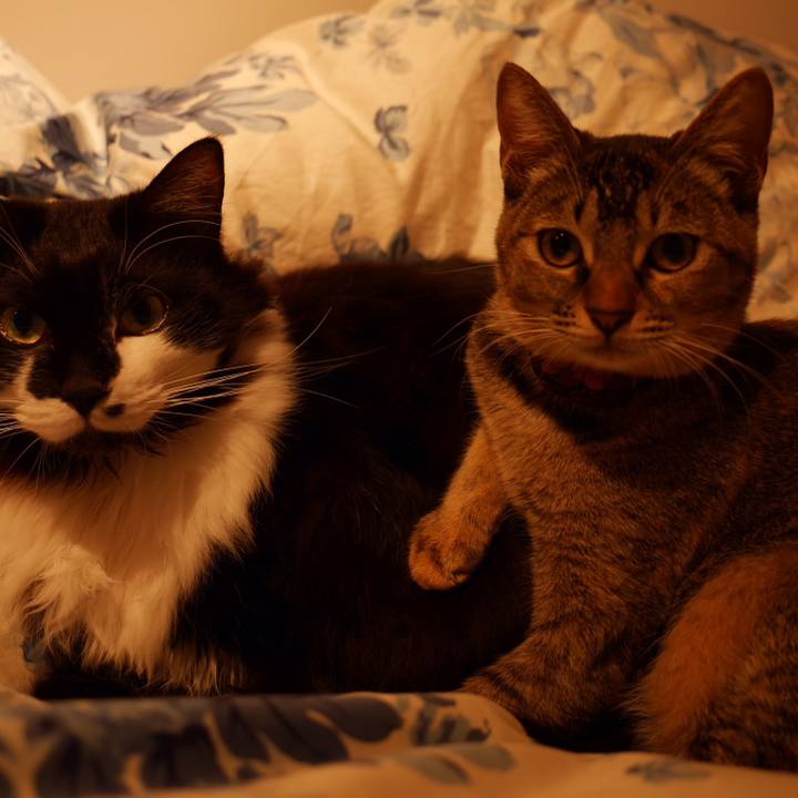 47feb065 29d0 4d0e 8054 993ad42b2e26