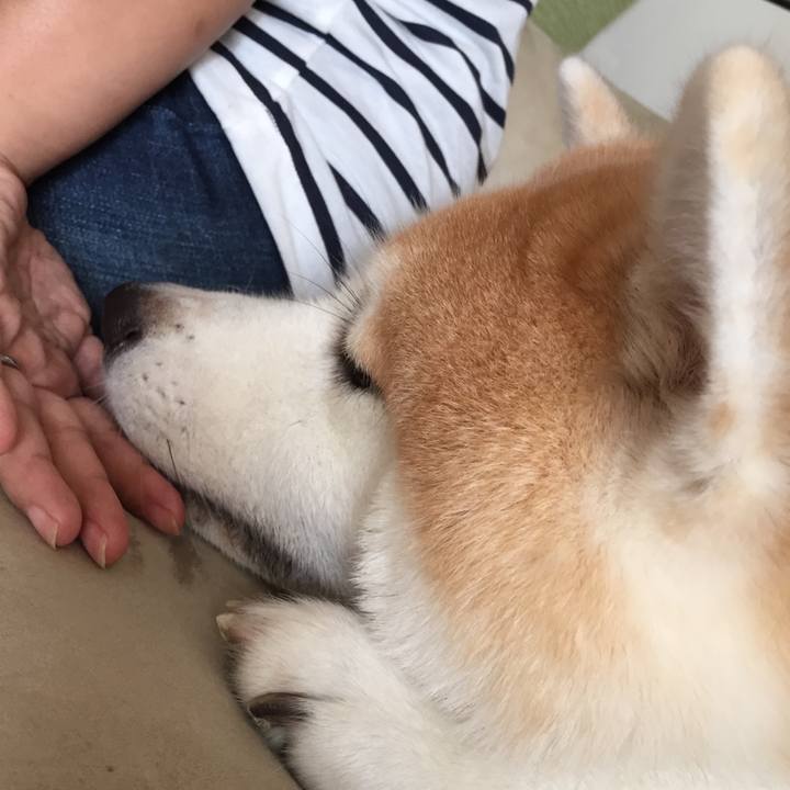 47febbe3 80ea 446c ae90 1699d44470ac