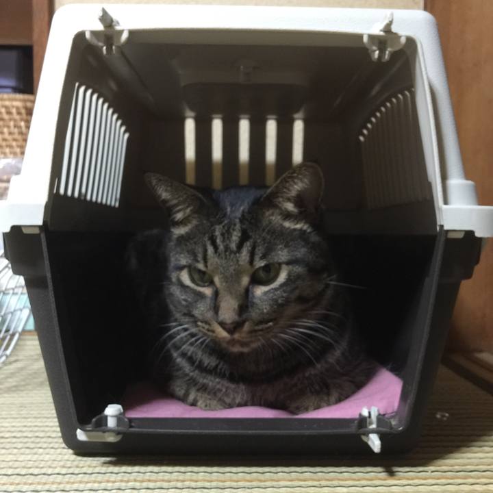 47fece23 ef78 4f18 bdbc b44829c4425e