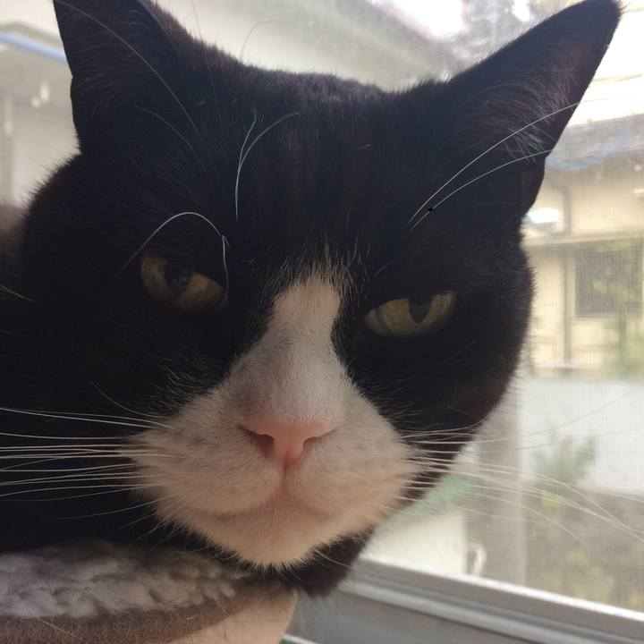 47fed01c 7ccb 4c2f 8261 e4a7ededab99