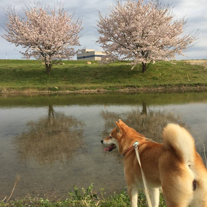 47fef8ab 1d4a 4978 a779 7e7db78f0eb4