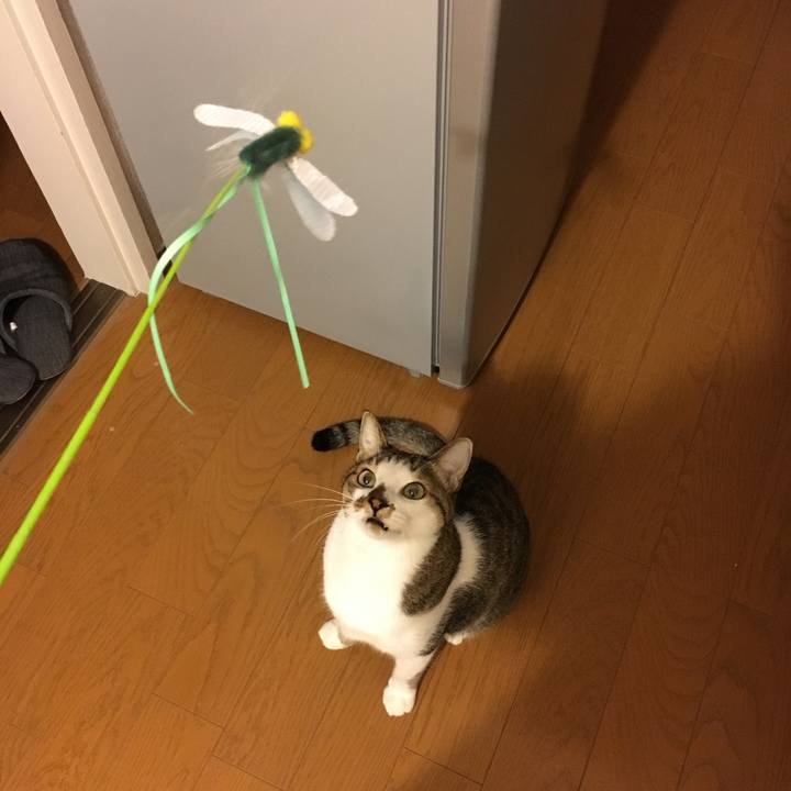 47ff0b44 eed7 499f 9f8f 3b5b009da195