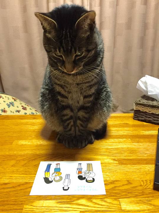 47ff6d67 9654 4609 b857 aea56c9b0f47