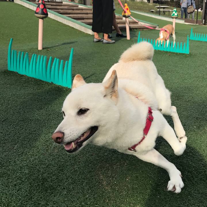 48005c95 d6fc 41f5 8392 f973885a43a2