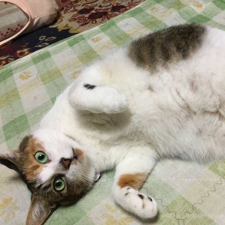 4800860e 72ef 46a9 9daf 8b31192957f9