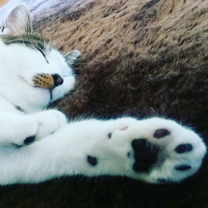 48010391 f6a4 497b 86bf b4ce8bd4eac9