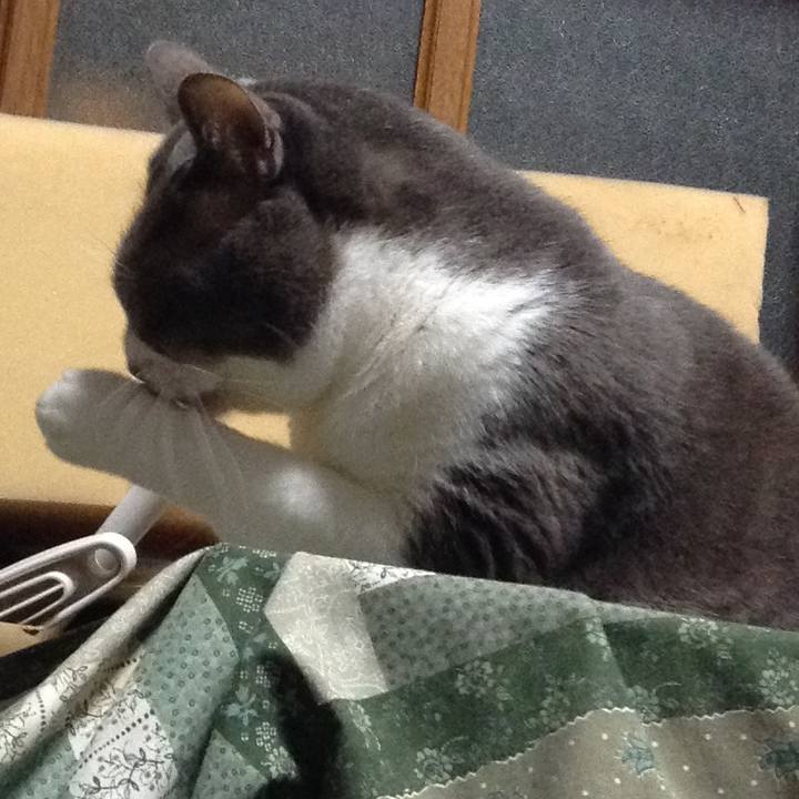 4801d1b0 1436 4786 b3f9 39914e5e1594