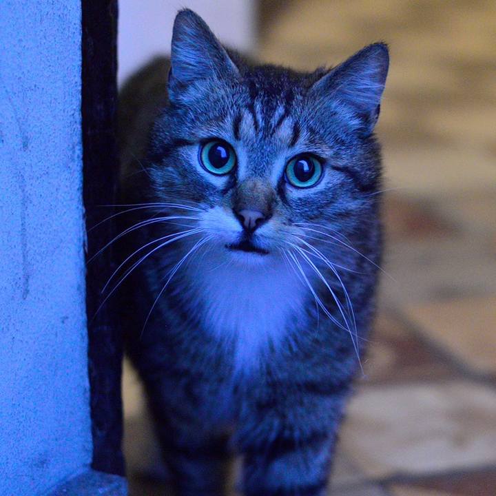 4801f4f1 00f1 4c2c 8657 81e1d45c7671