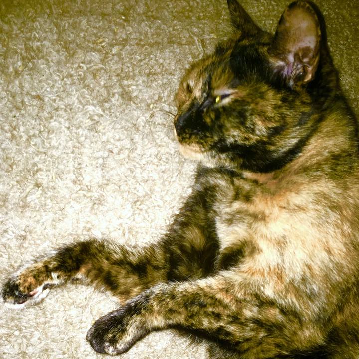 4802439d 1fc0 42ea 8584 af45fb587dd7