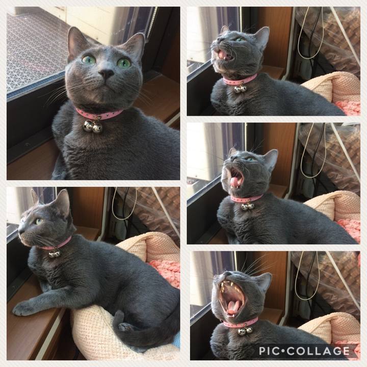 48037fb3 c939 4675 8c23 de67467848e8