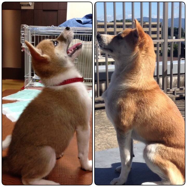 4803c572 8ade 4464 83b3 79e6c9af94e6