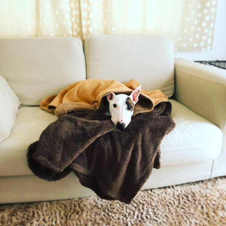 48041c36 b1e1 4b23 a6e0 8b9bc770ed36