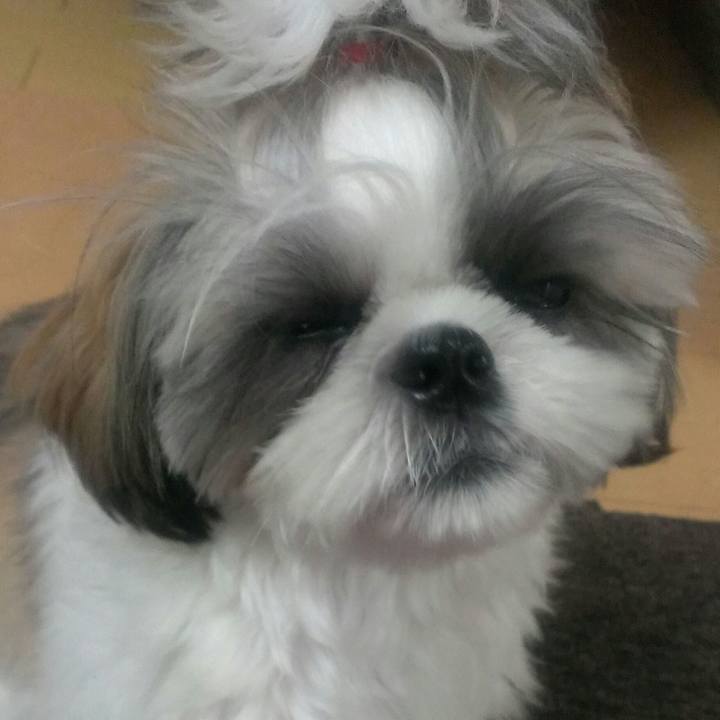 48047ad2 6dc9 47d5 9cf3 8ca0b68c2f5d