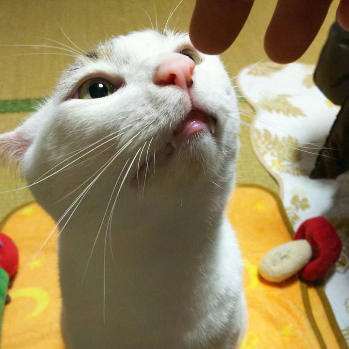 4804b14c fd91 4598 abef 9837866eeca2