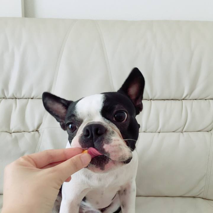 4804b9c7 dc19 4c33 a371 5f788fe9e9e7