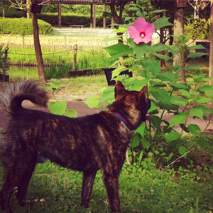 480534f5 e063 46f1 a9e0 f5e2c6cae6ce