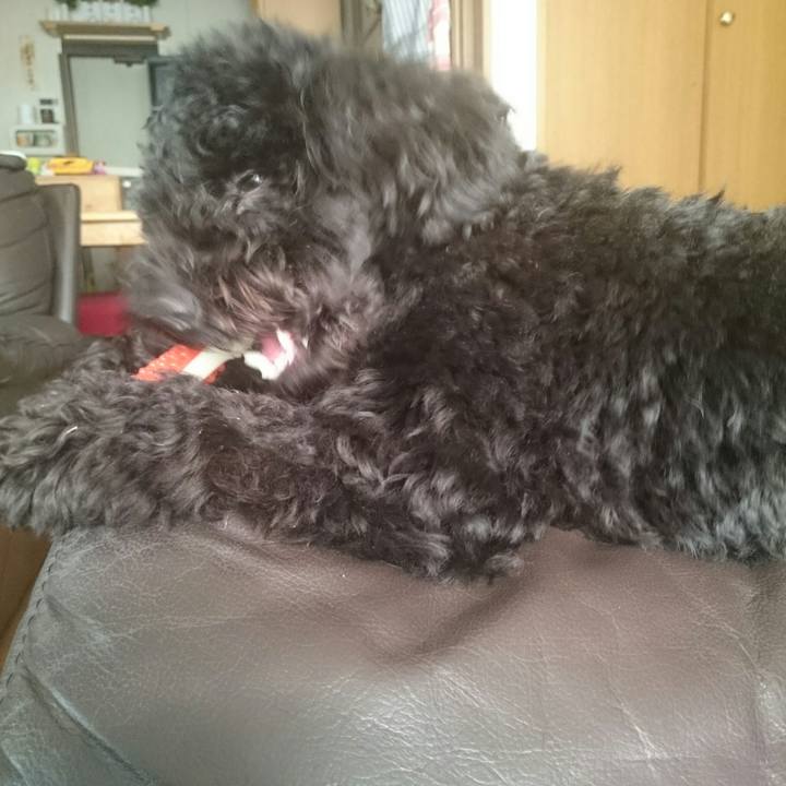 48060f6d dfb7 42fe a294 bfde14dda5ea