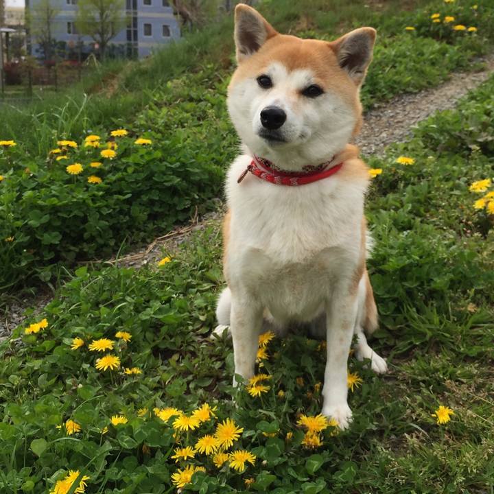 480627cc ab25 4a9f 98df 62e21bd86157