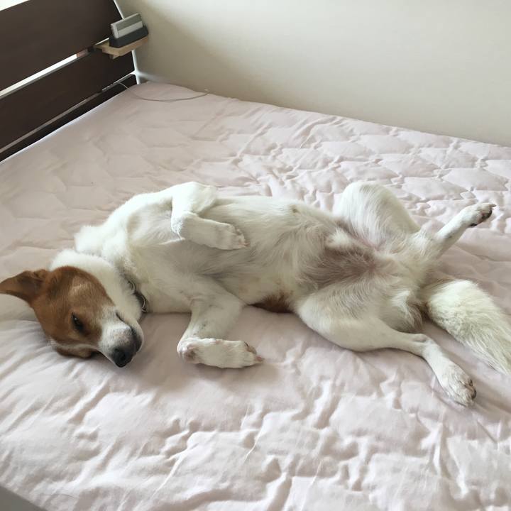 48064fbf 496f 4e2d 9d98 8b155e07d2eb