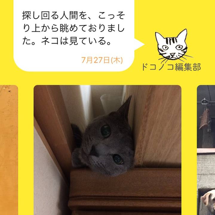 4806681b 6554 48f4 86de 9b875ec3dad5