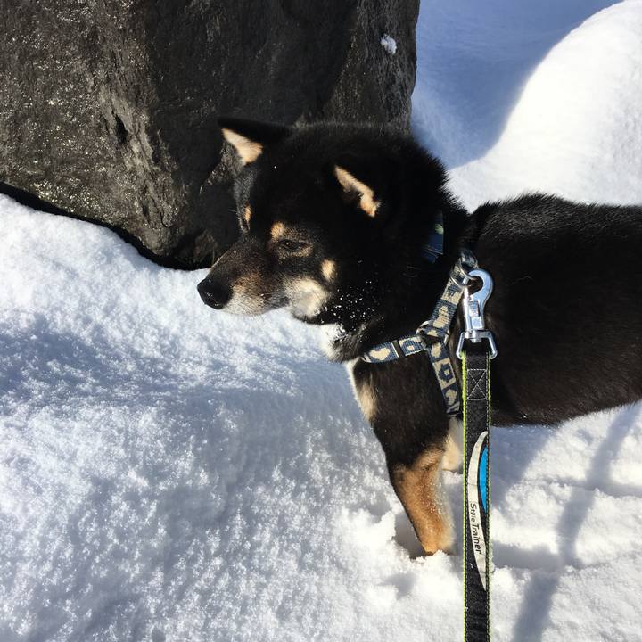 4806d3e4 a016 4c77 a55e 03742e020437