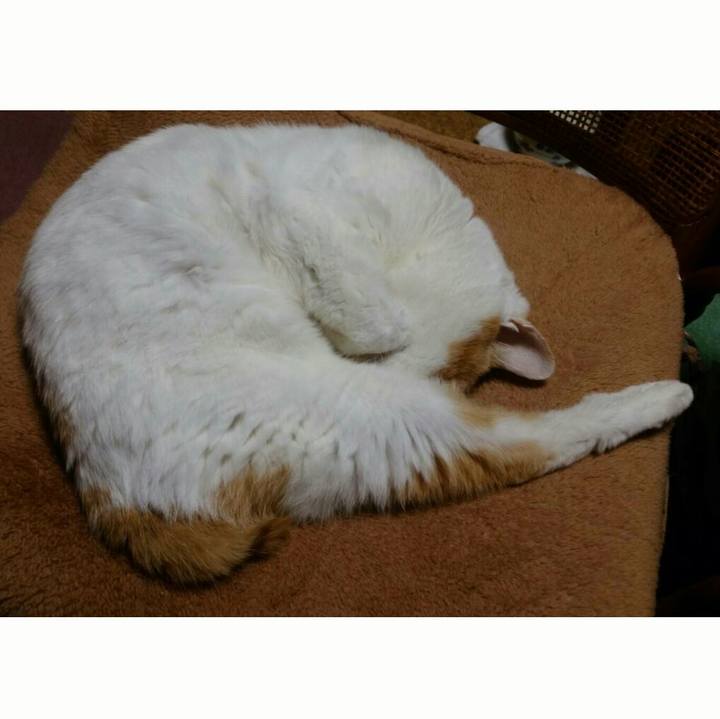 48073b36 274b 41ef b317 92281d9f226c