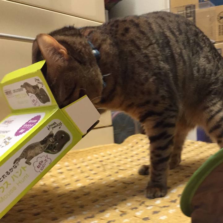 480772aa 08db 4f98 8655 1733f088c337