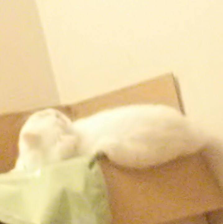 48085dc0 70be 48a9 9299 f333eb608378