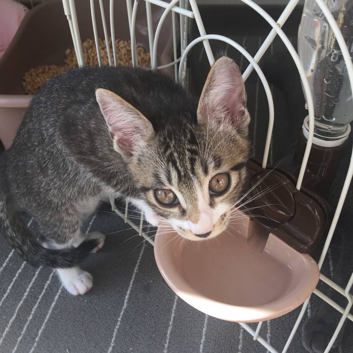 480944e6 03a4 4e85 af4a e55b26b22d21