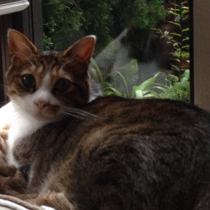 480a9313 f6ce 4362 83ec faf57fb8426a