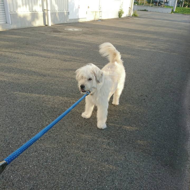 480a98cd 0cf5 47c0 99cb ffb38c84cba1