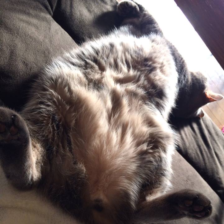 480ab81e 5732 4170 9ad9 7158c70d8efa