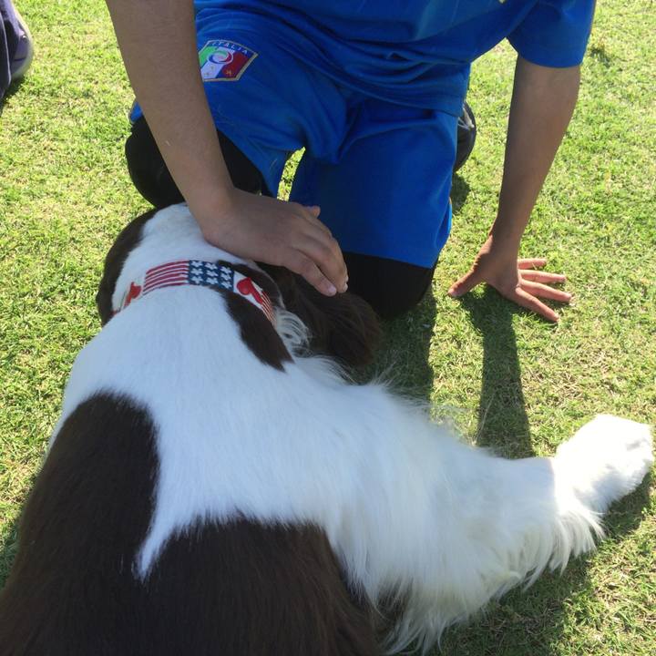 480b2589 80f4 4eea b51f 661990388cdd